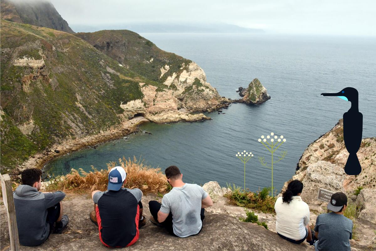 A group of hikers sit on a bluff above the ocean while an illustrated cormorant looks over illustrated yarrow plants.