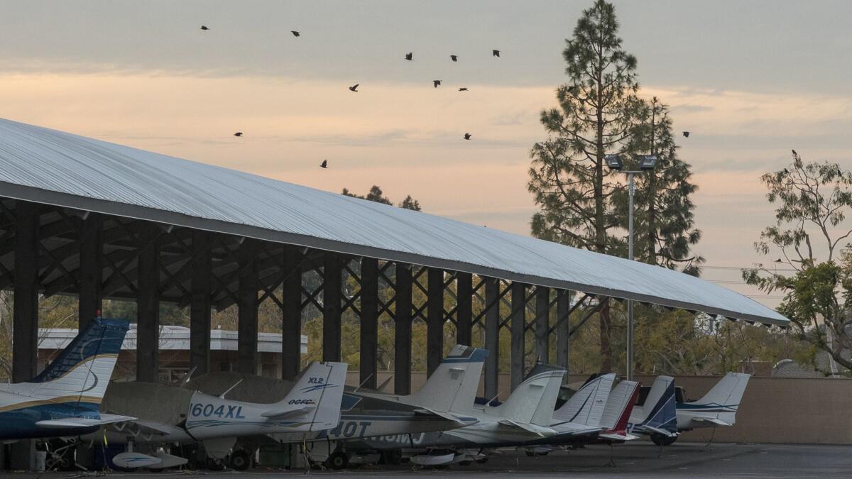 Crows fly near the runways at John Wayne Airport on March 7. A Cessna pilot fears the birds, which often number in the hundreds, can pose a safety hazard to planes, especially small ones like his. The airport isn’t so sure.
