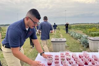 Efrain Paniagua-Villa, 28, picks up drinks to serve to guests at a dinner event inside the Grafton Reintegration Center on Thursday, Aug. 25, 2024 in Grafton, Ohio. (AP Photo/Patrick Aftoora Orsagos)