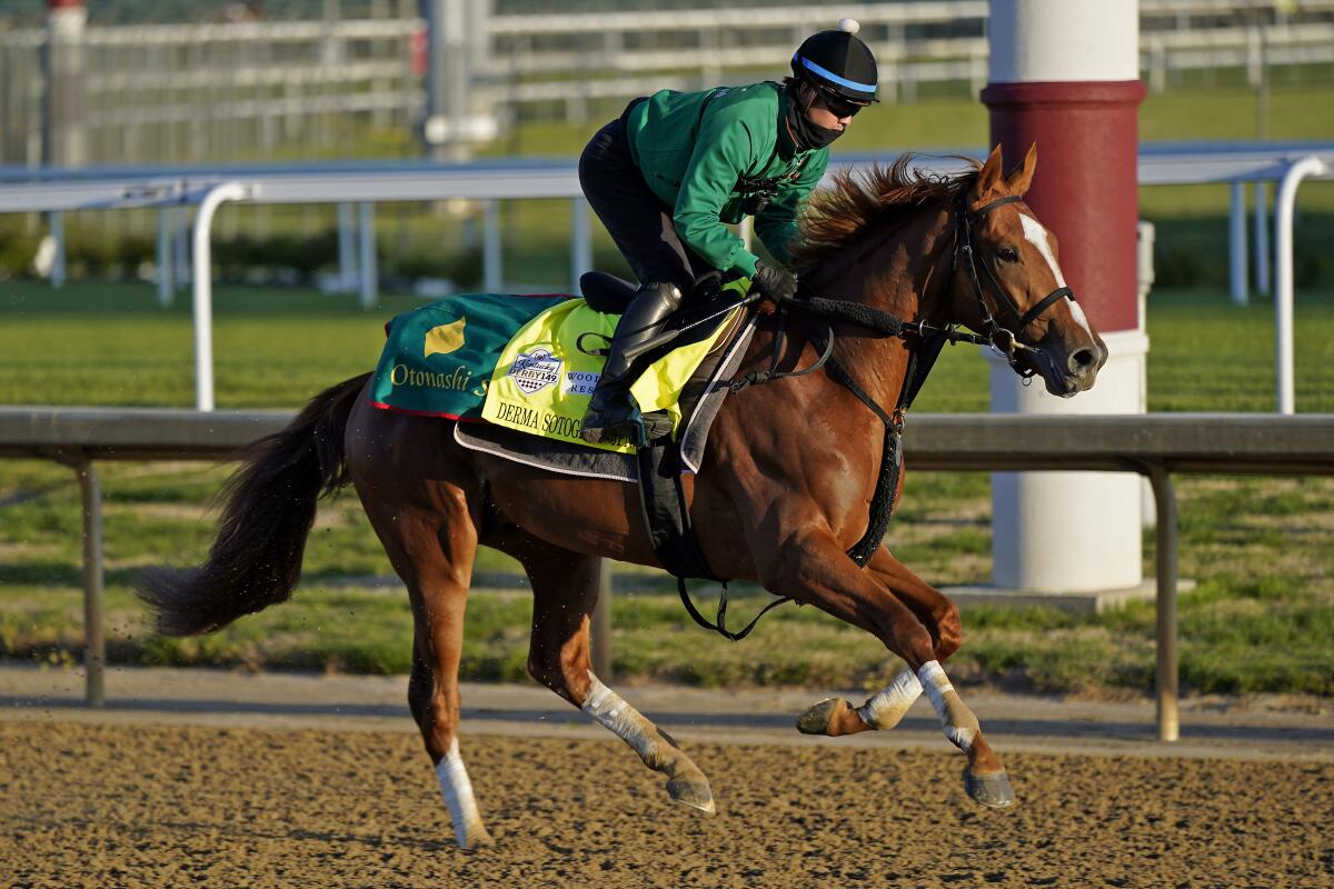 Kentucky Derby entrant Derma Sotogake works out at Churchill Downs on Tuesday.