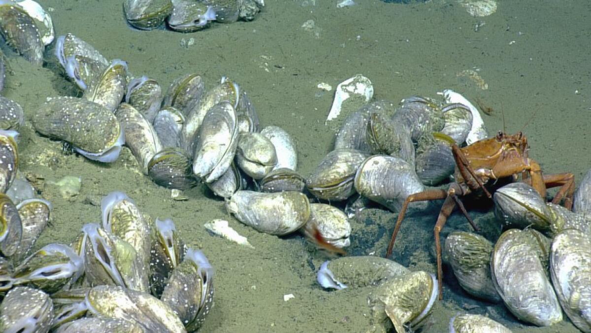 Jacuzzi of Despair is an underwater lake that kills almost