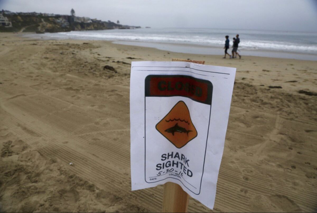 Warnings are on Corona Del Mar beach after a suspected shark attack.