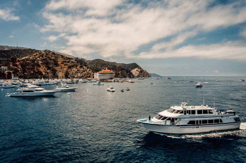 Boats surround Catalina Island's Avalon Harbor