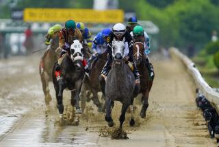 Jaime Torres, atop Seize The Grey, leads the pack heading into the first turn before winning the Preakness Stakes