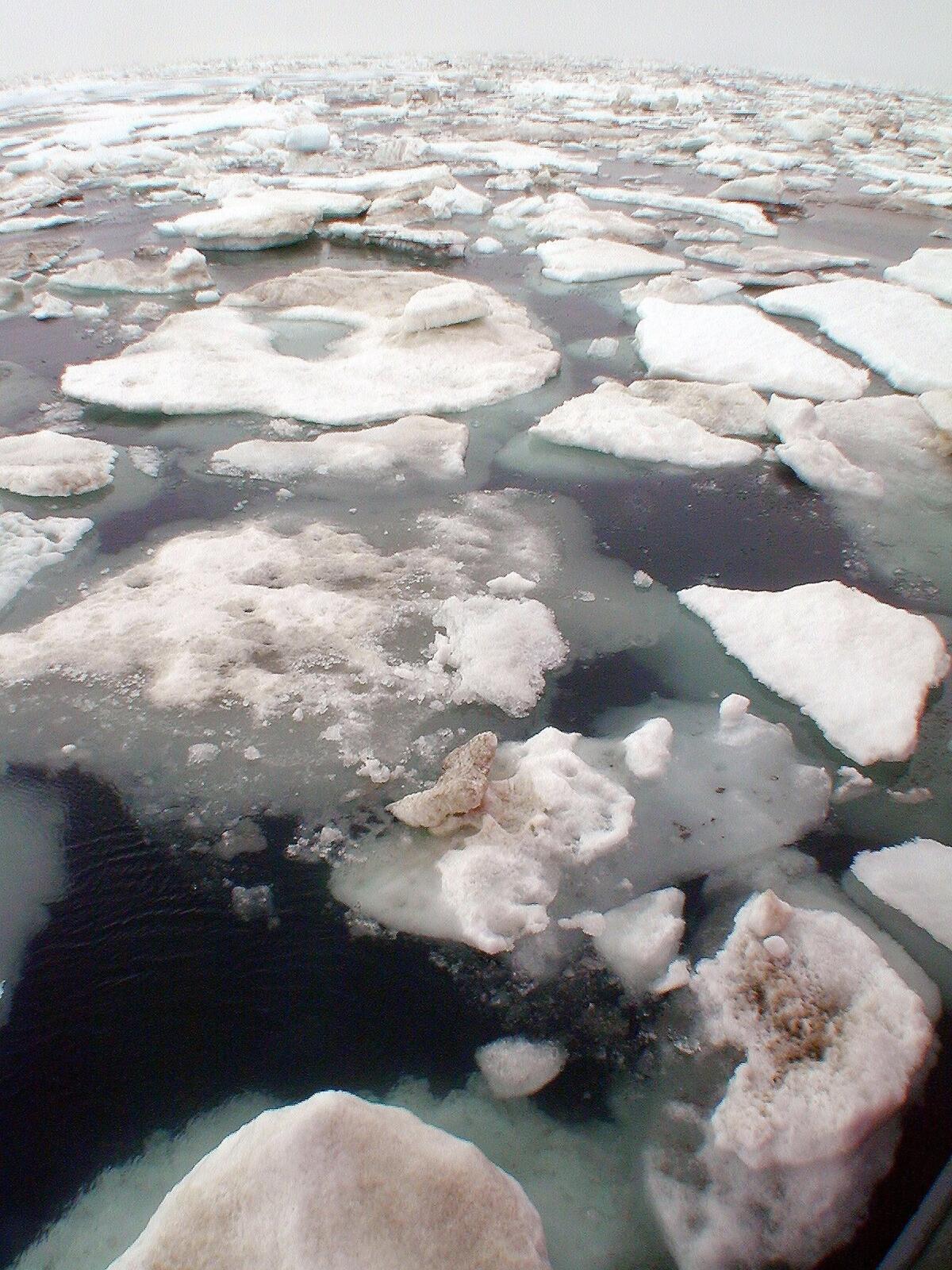 The loss of Arctic sea ice is linked to extreme weather patterns in the U.S. and other areas of the Northern Hemisphere, according to researchers.