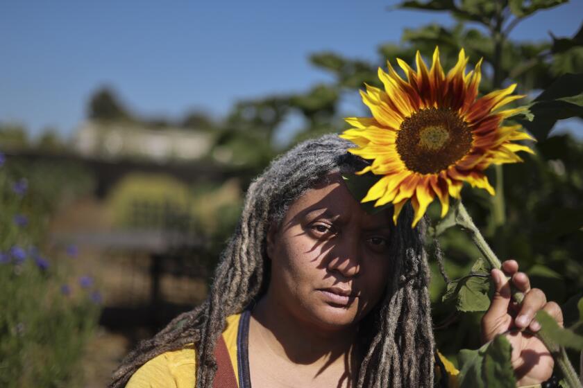 RICHMOND CA, MAY 4, 2022 - Doria Robinson is with a growing sunflower bloom. She runs Urban Tilth and is worried their neighbor, Sotoko Nabeta's nursery, may be replaced by a 4-story warehouse casting a morning shadow on her community farm, she said on Wednesday, May 4, 2022, in Richmond, Calif. (Paul Kuroda/ For The Times)
