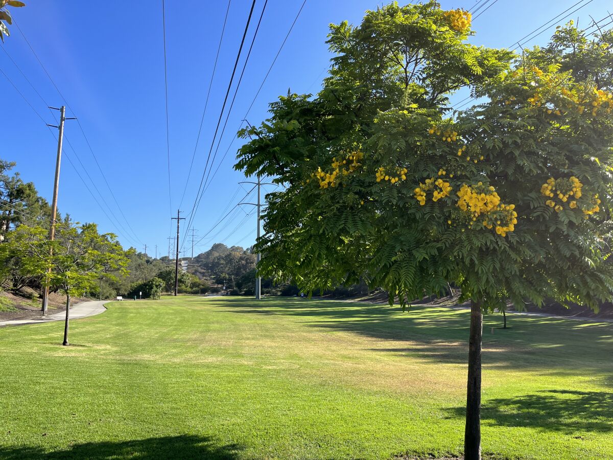 A comfort station was approved for Carmel Mission Park back in 2015.