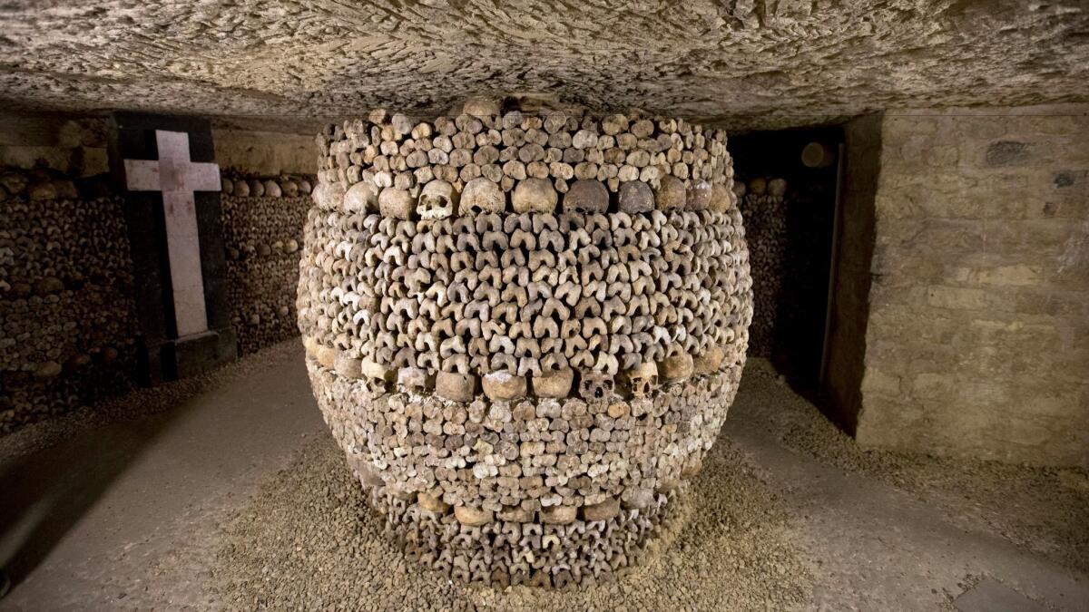 Skulls and bones stacked in the catacombs of Paris.