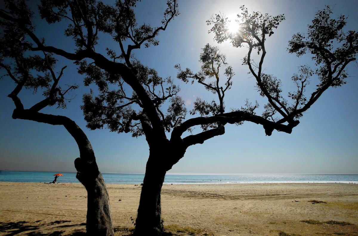 A beachgoer sets up an umbrella on a warm October afternoon at Topanga State Beach. Southern California could see above-average rainfall this winter, but it won't be enough to shake the drought, which is likely to persist or intensify in large swaths of the state, federal forecasters said.