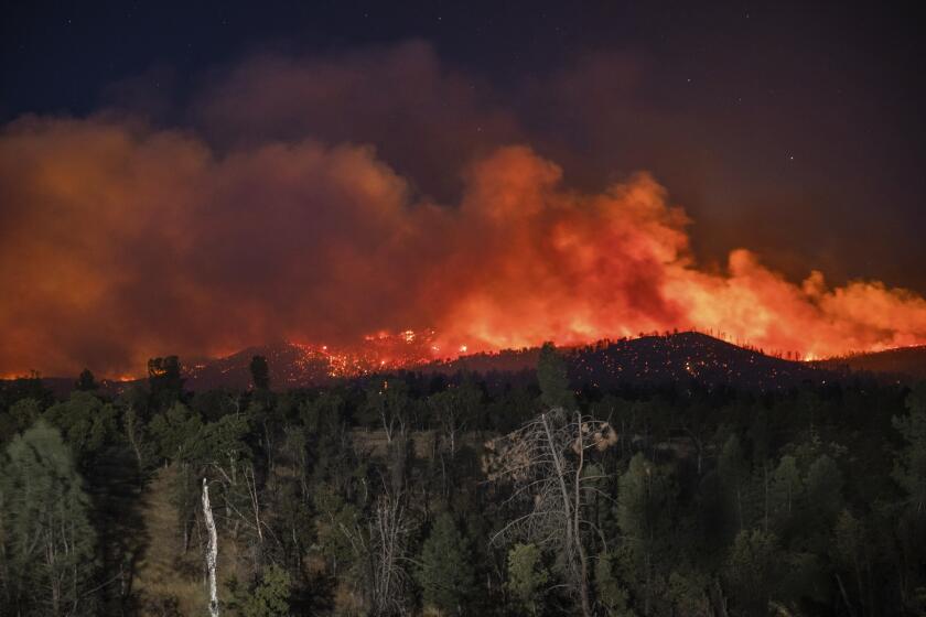 Flame are visible from the Zogg Fire on Clear Creek Road near Igo, Calif., on Monday, Sep. 28, 2020. (AP Photo/Ethan Swope)