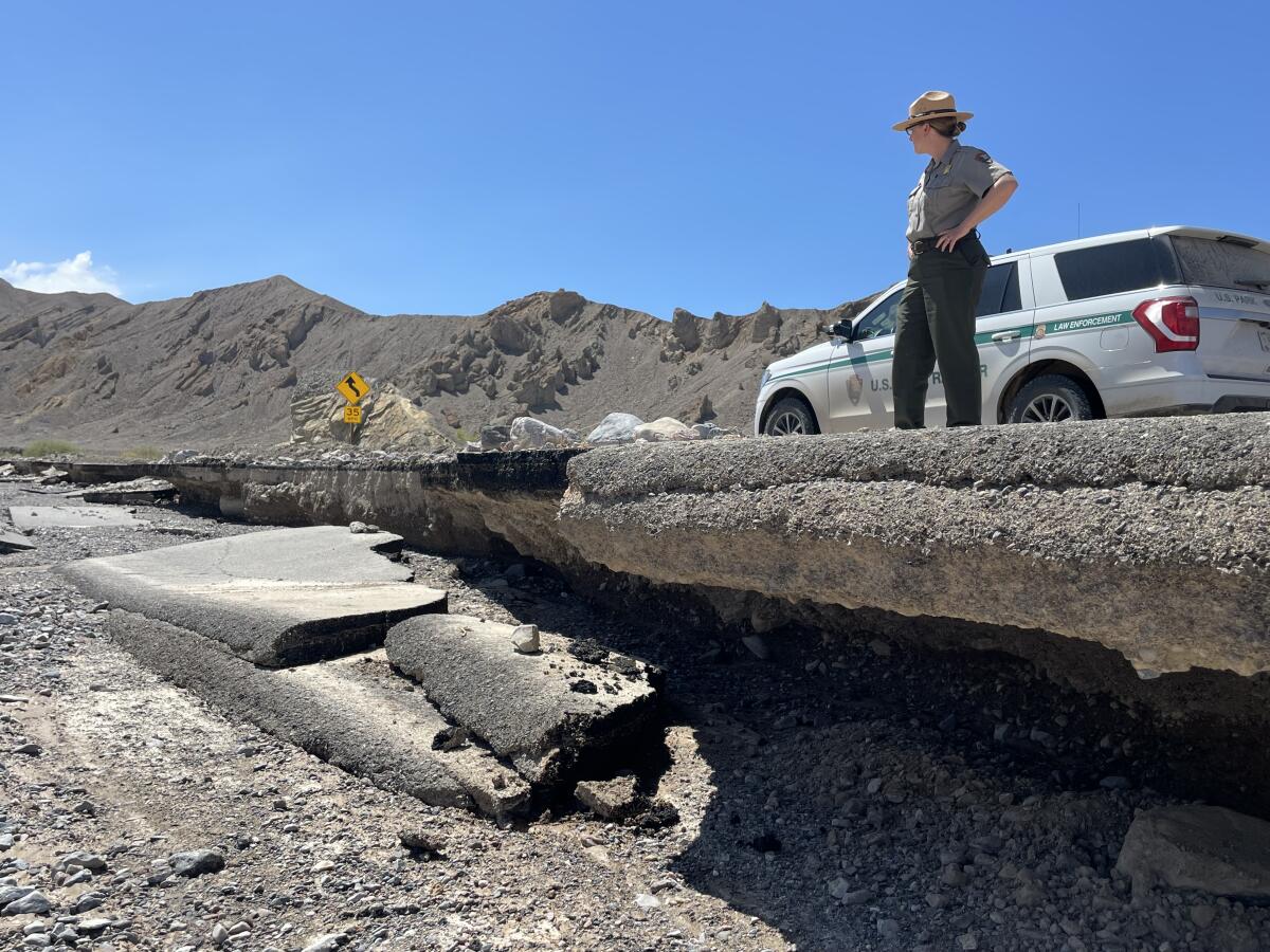 A National Park Service ranger looks at flood damage in Death Valley.