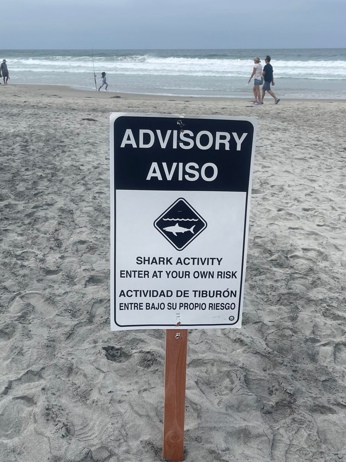 Kurt Hoffman writes that this shark advisory sign was posted Aug. 20 at Torrey Pines State Beach.