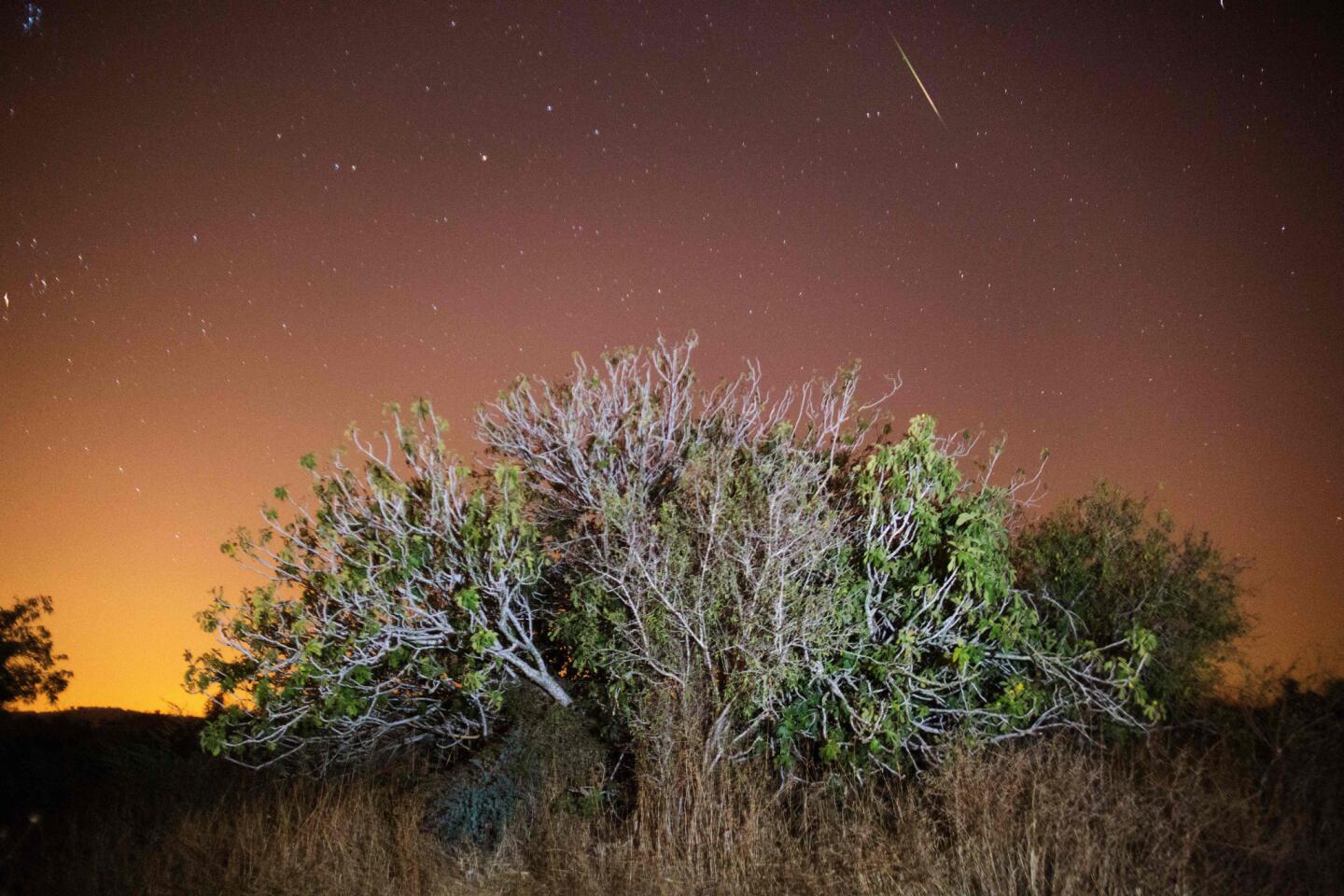 2016 Perseid meteor shower