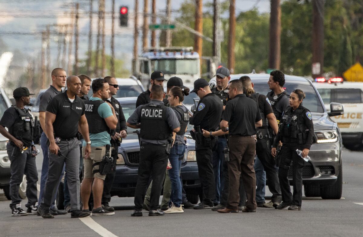 A large number of police officers gather in the street