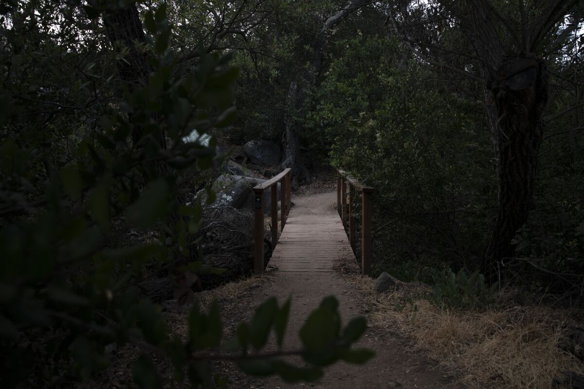 The trail to South Fortuna Mountain in Mission Trails Park on Thursday, July 28, 2022 in San Diego, California. The trek is about 4.6 miles.