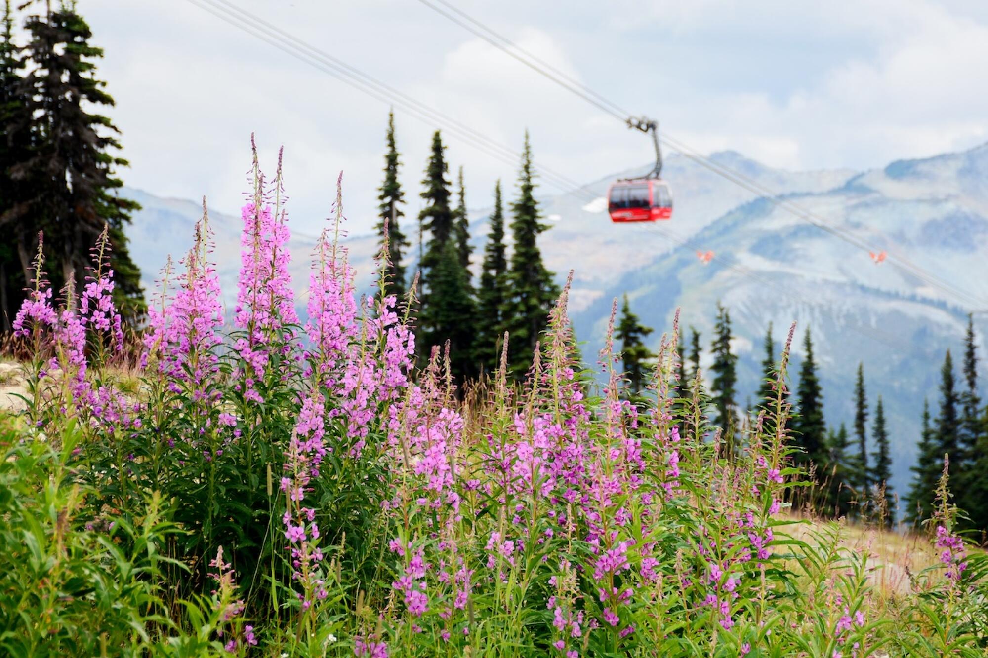 Canadian coastal destinations