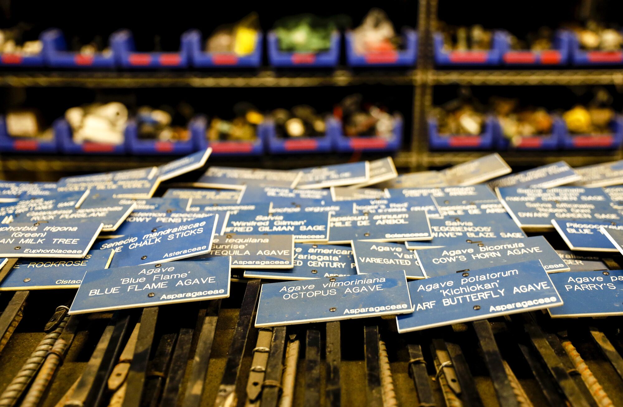 A pile of small blue signs listing the botanic names of about 120 drought-resistant varieties planted at Dodger Stadium.