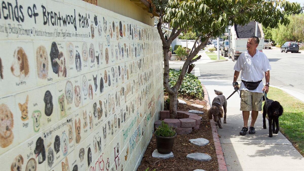 Ben Amante walks his dogs Jack and Remy past the Friends of Brentwood Park mural that includes his dogs' portraits.