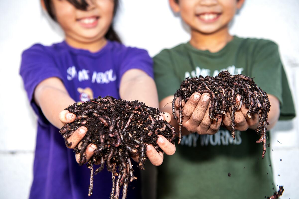 Youngsters hold worms wriggling in mounds of dirt in their hands.
