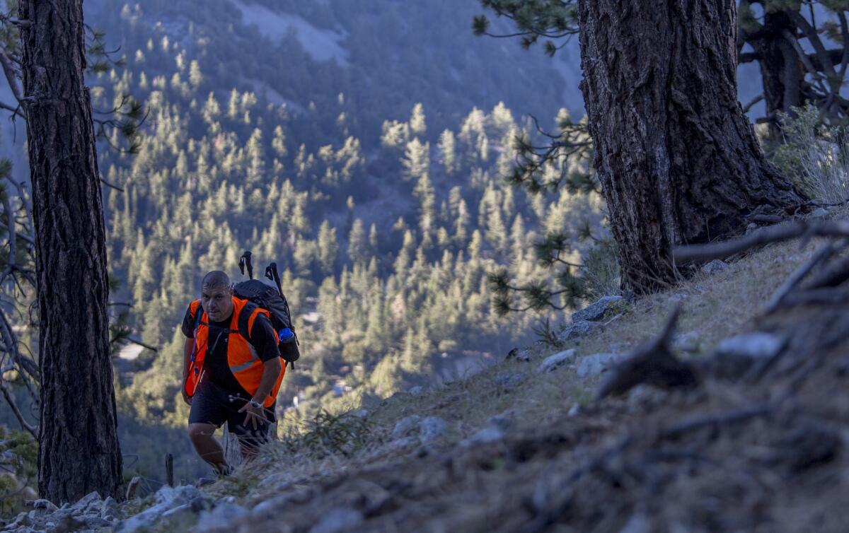 A hiker in a bright orange vest stands among pine trees on a steep trail.