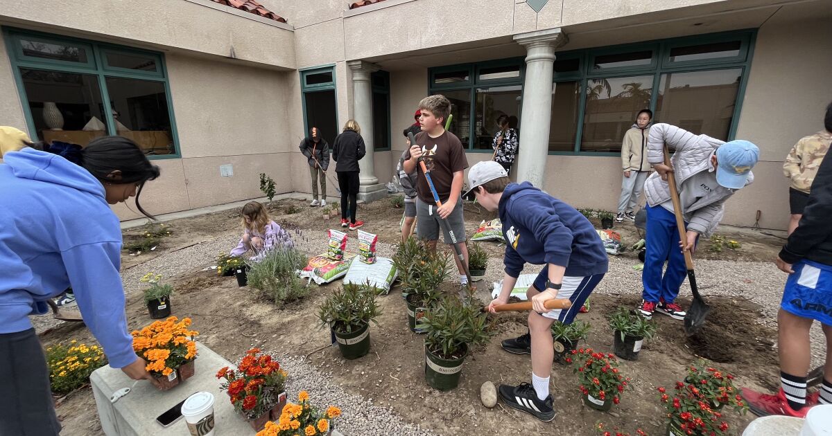 Ashley Falls students design, build Monarch butterfly garden on campus