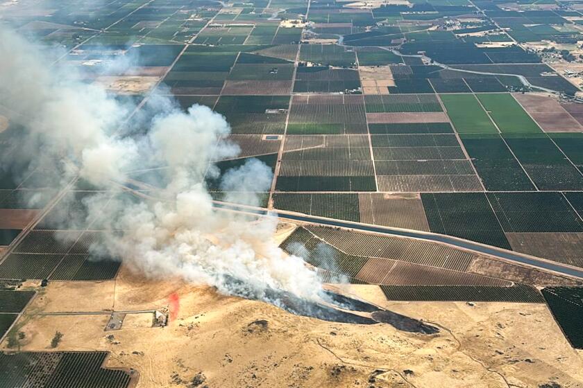 Eastern Fresno County had over 1,000 lightning strikes in just three hours Monday afternoon, where at least five brush fires ignited, according to Cal Fire. The cause of those fires are still under investigation, but likely linked to the lightning.