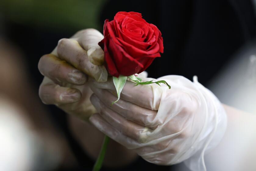 LOS ANGELES, CA - FEBRUARY 12: Esmeralda Sanchez prepares roses at Julia's Wholesale Flowers inside the Los Angeles Flower Market in downtown on Friday, Feb. 12, 2021 in Los Angeles, CA. Crowds gathered in preparation for Valentine's Day on Sunday. (Dania Maxwell / Los Angeles Times)