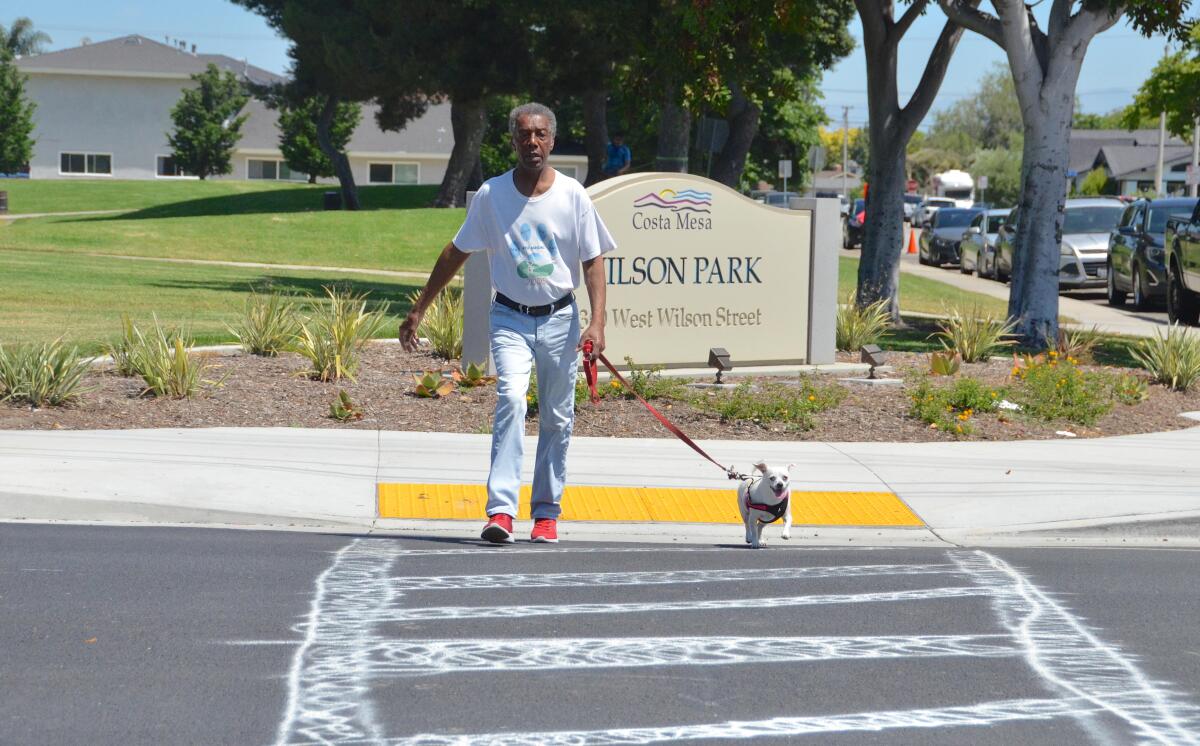 Costa Mesa resident Jesse Jackson Thursday crosses Wilson Street with dog Cooper via an illicitly painted crosswalk.