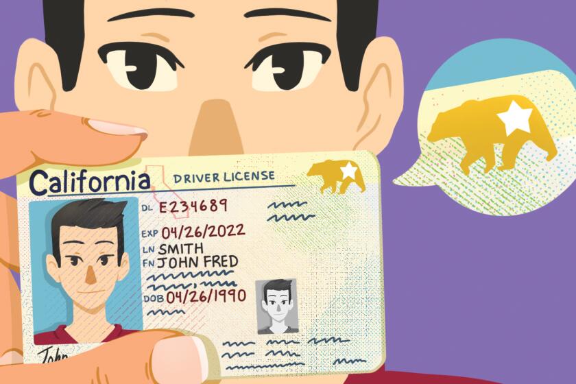 Illustration for travel story about the new Real IDs.