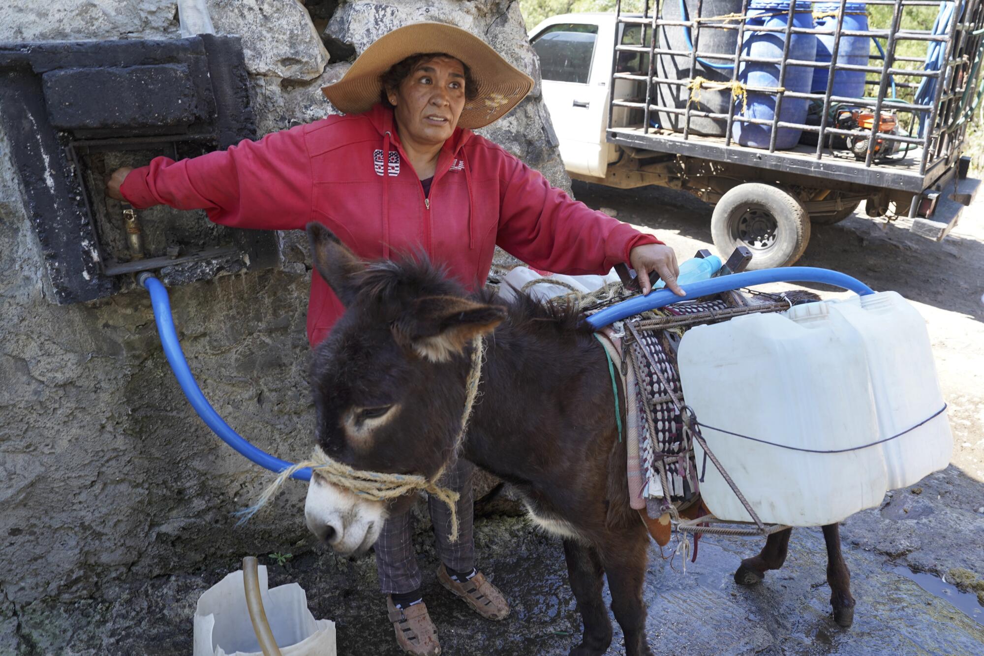 A woman in a floppy hat and red long-sleeved top fills water containers lashed to a donkey's back. 