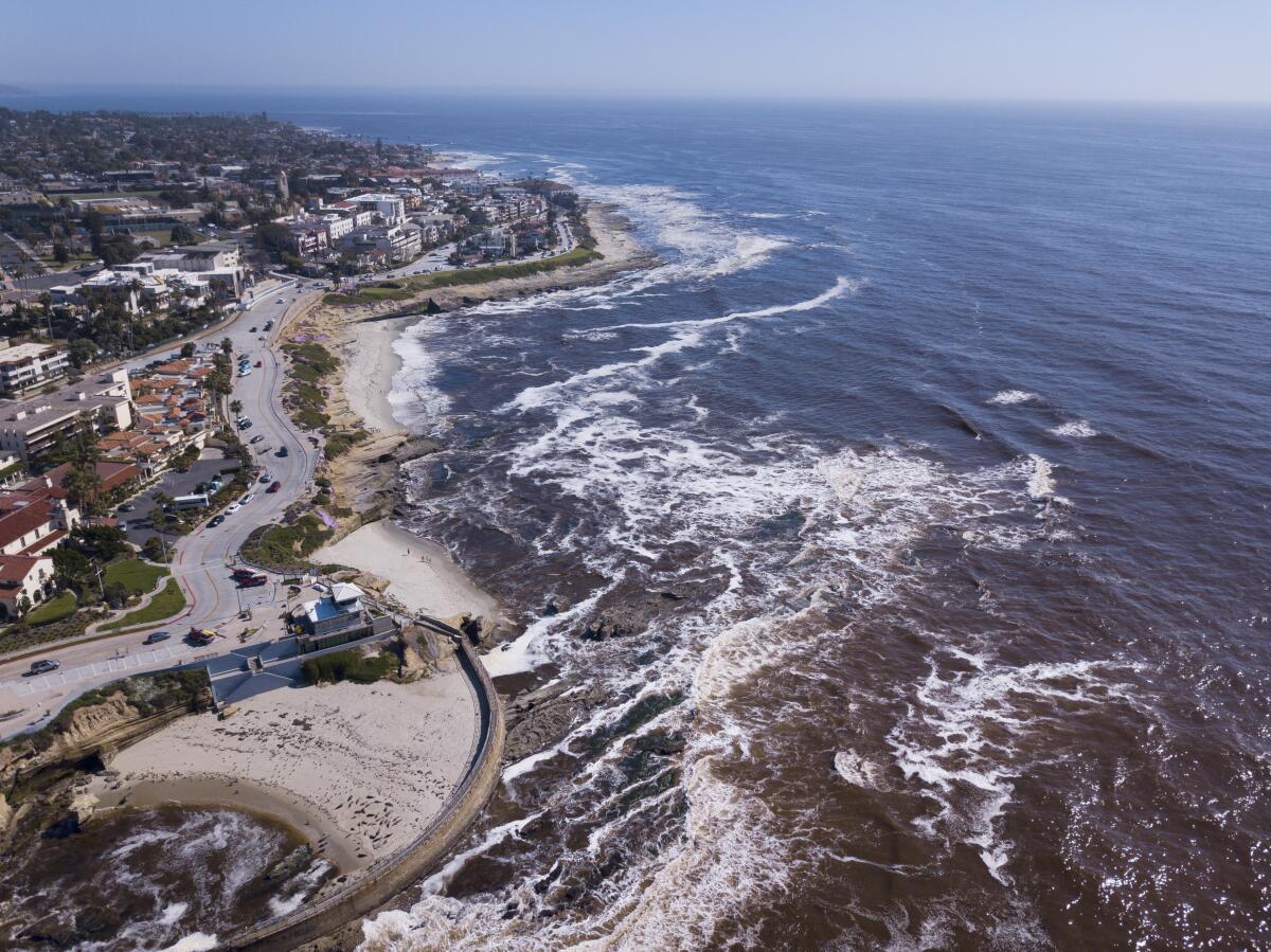 Algae blooms, also known as red tides, have turned the ocean water brown in La Jolla and along the rest of the San Diego coast.