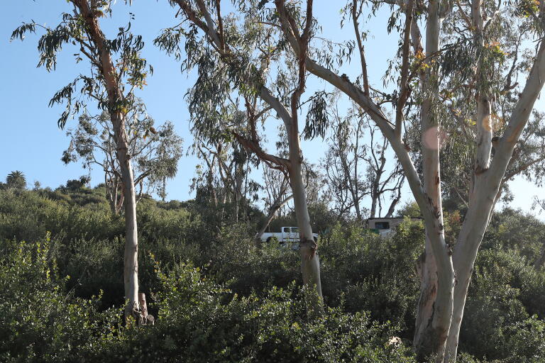 Fuel Modification Plan Laguna Beach begins work on Bluebird Canyon fuel modification zone ...