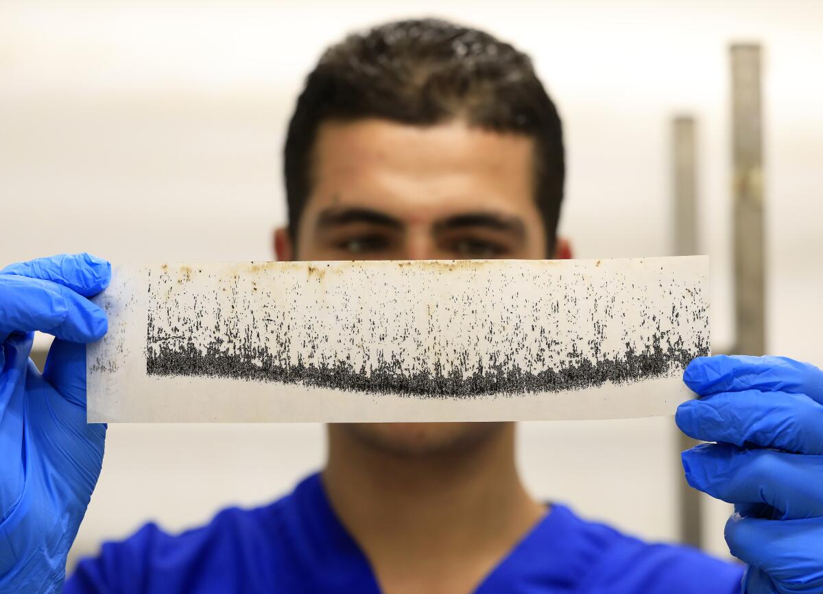 A lab technician holds a strip of dried mosquito eggs inside a World Mosquito Program factory, in Medellin, Colombia.