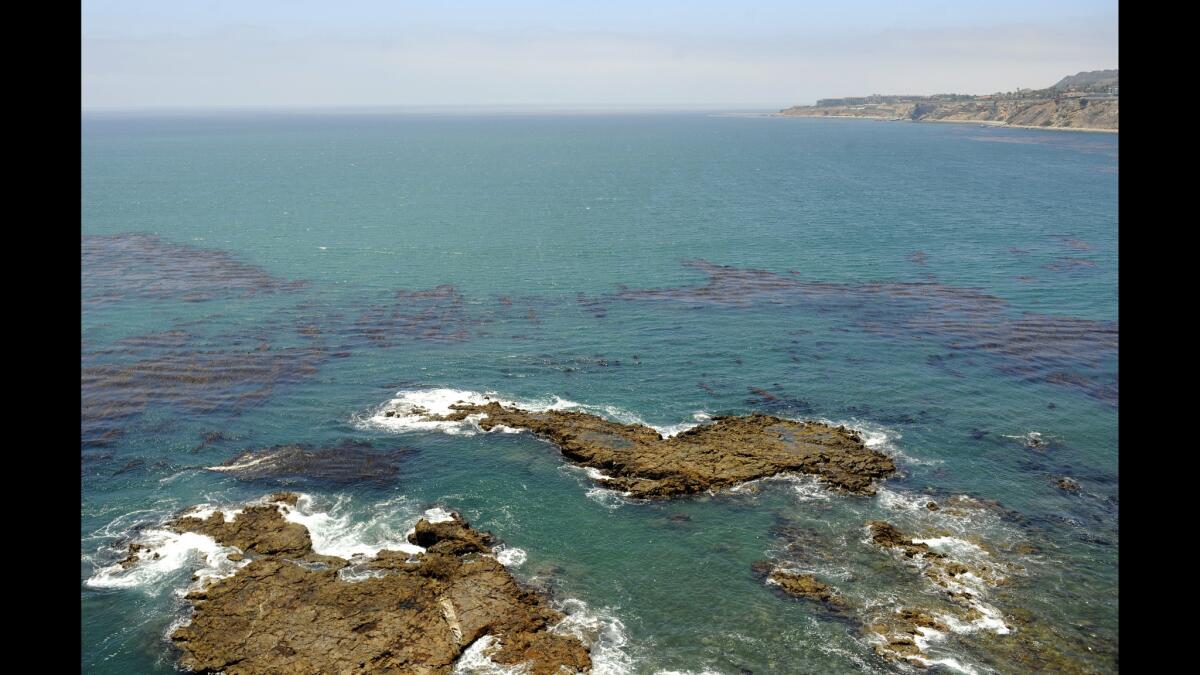 A view from the Portuguese Point Loop trail at Abalone Cove.