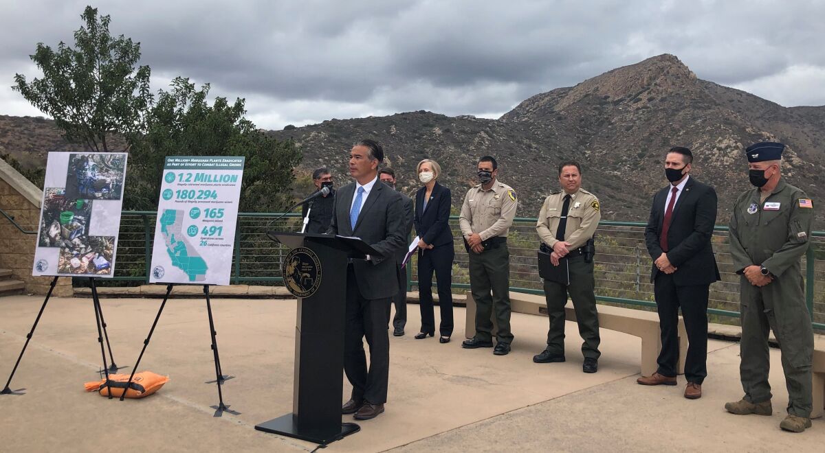 Attorney General Rob Bonta announced the results of a state-led operation that cracked down on illegal marijuana cultivation.