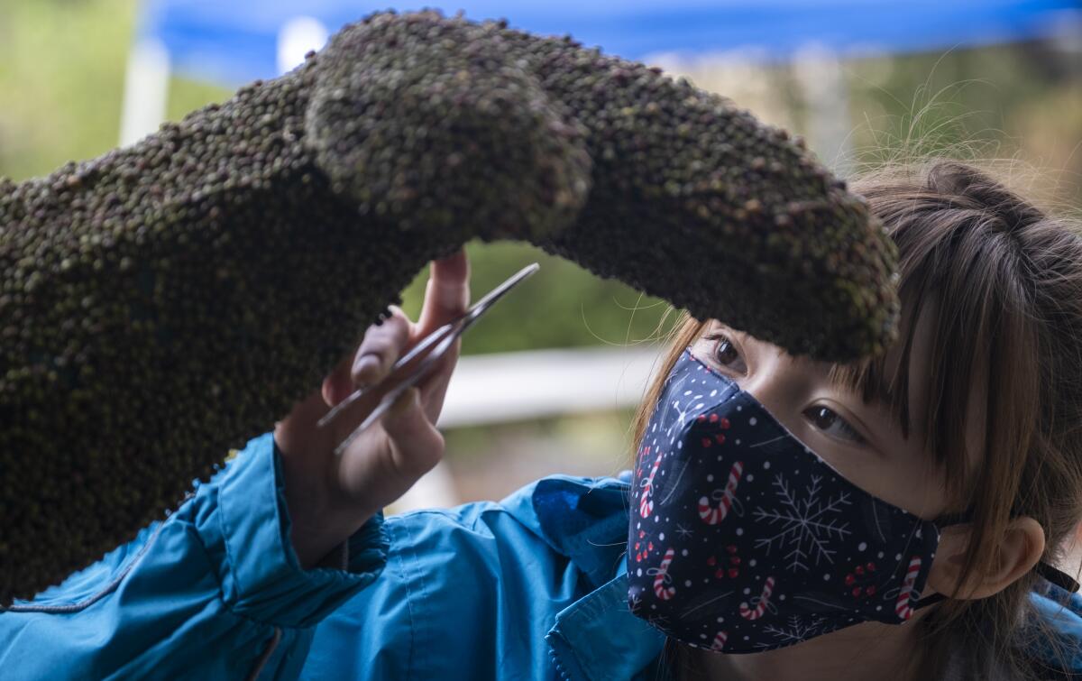 A girl in a mask peers closely at a section of a parade float.