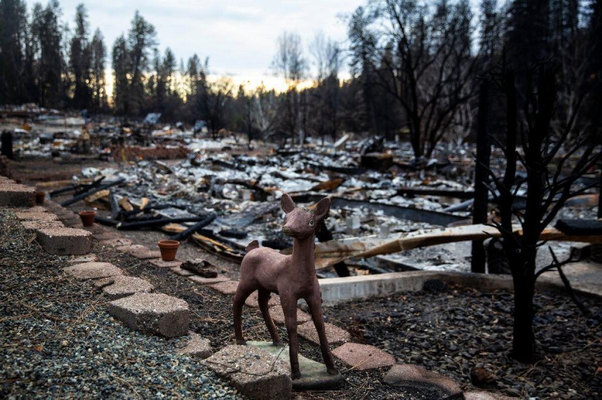 The remains of Edgewood and Sawmill Estates community in the Camp fire-decimated town of Paradise on Dec. 12 in Paradise, Calif.