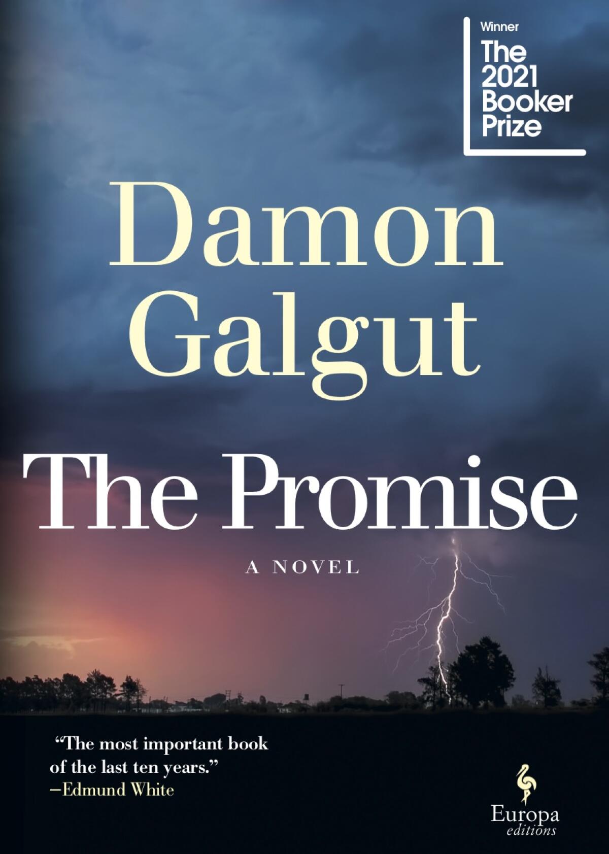 A stormy sky with lightning on the cover of "The Promise," by Damon Galgut.