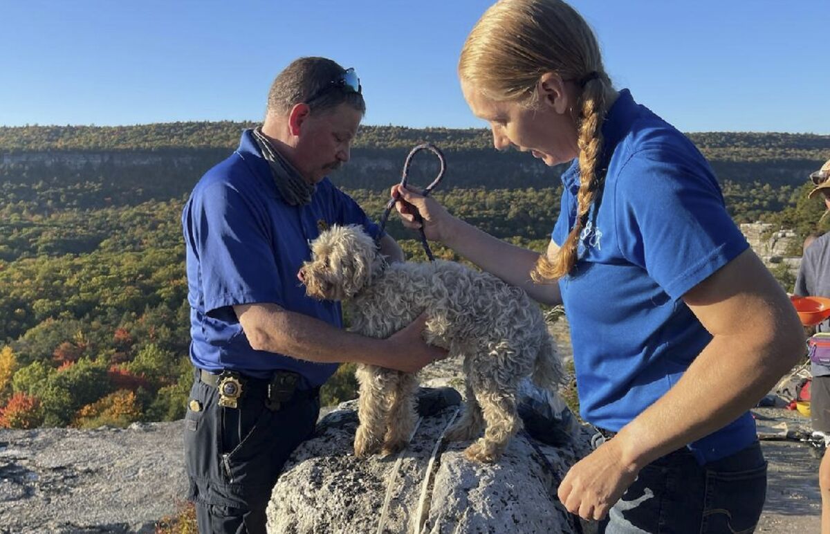 In this photo provided by New York State Parks on Wednesday, Oct. 13, 2021, Ulster County SPCA Executive Director Gina Carbonari, right, and SPCA Supervisor Chris West, left, check a rescued a 12-year-old dog named Liza, found trapped after five days deep inside the narrow, rocky crevice at Minnewaska State Park Preserve in Kerhonkson, N.Y. A dog trapped for five days deep inside a narrow, rocky crevice at a state park north of New York City was rescued unharmed — though it was hungry and thirsty, parks officials said Wednesday. (New York State Parks via AP)