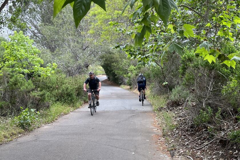 Cyclists on the SR-56 Bike Path in Carmel Valley on Bike Anywhere Day.