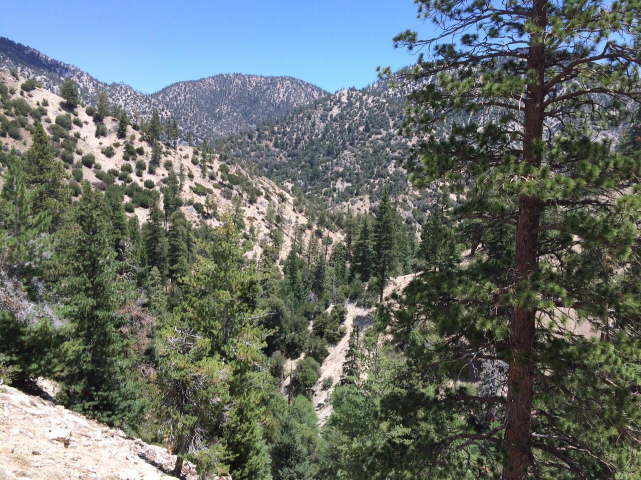 Angeles National Forest hike