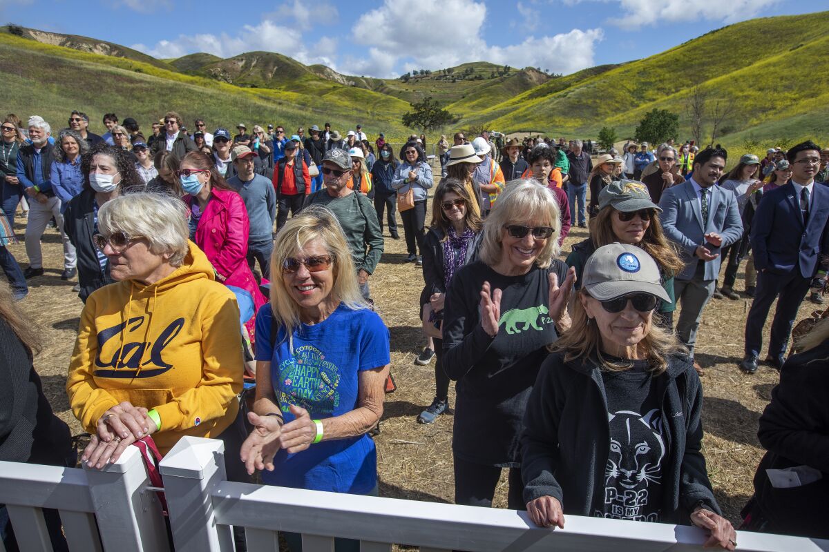 Norma Meyer, foreground, right, and Karen Furnari, standing behind her, wear mountain lion shirts 