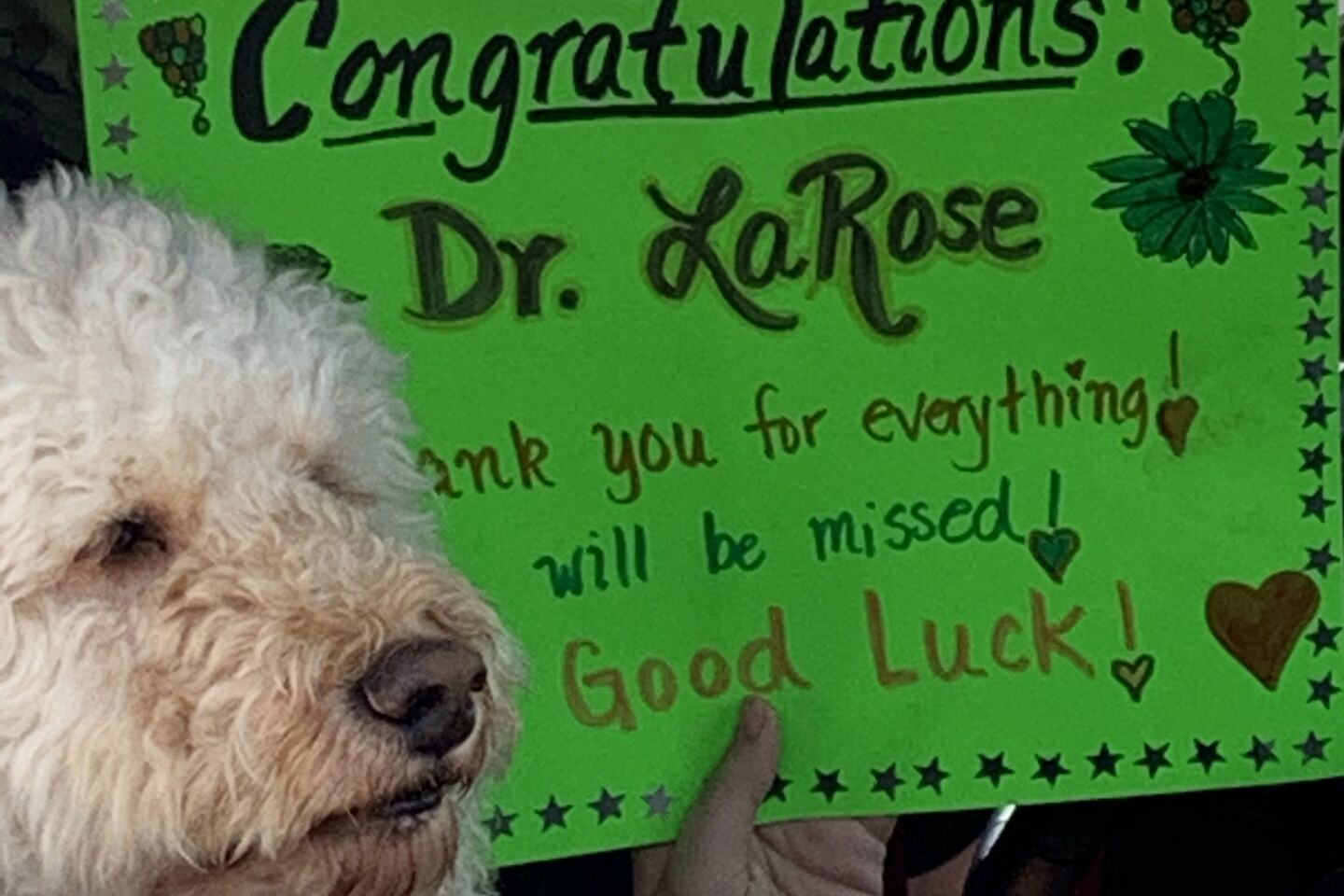 LaRose5.jpg