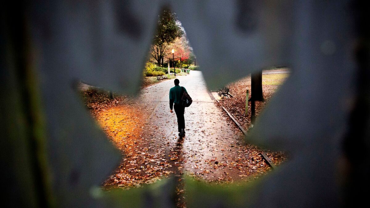 A pedestrian seen through a cutout of a leaf on a gate to Piedmont Park in Atlanta.
