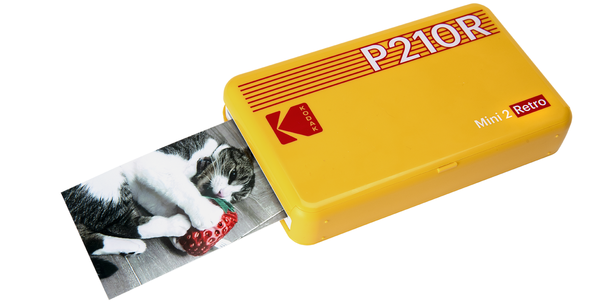 An image of a cat printed from the Kodak Mini 2 Retro 4Pass portable photo printer