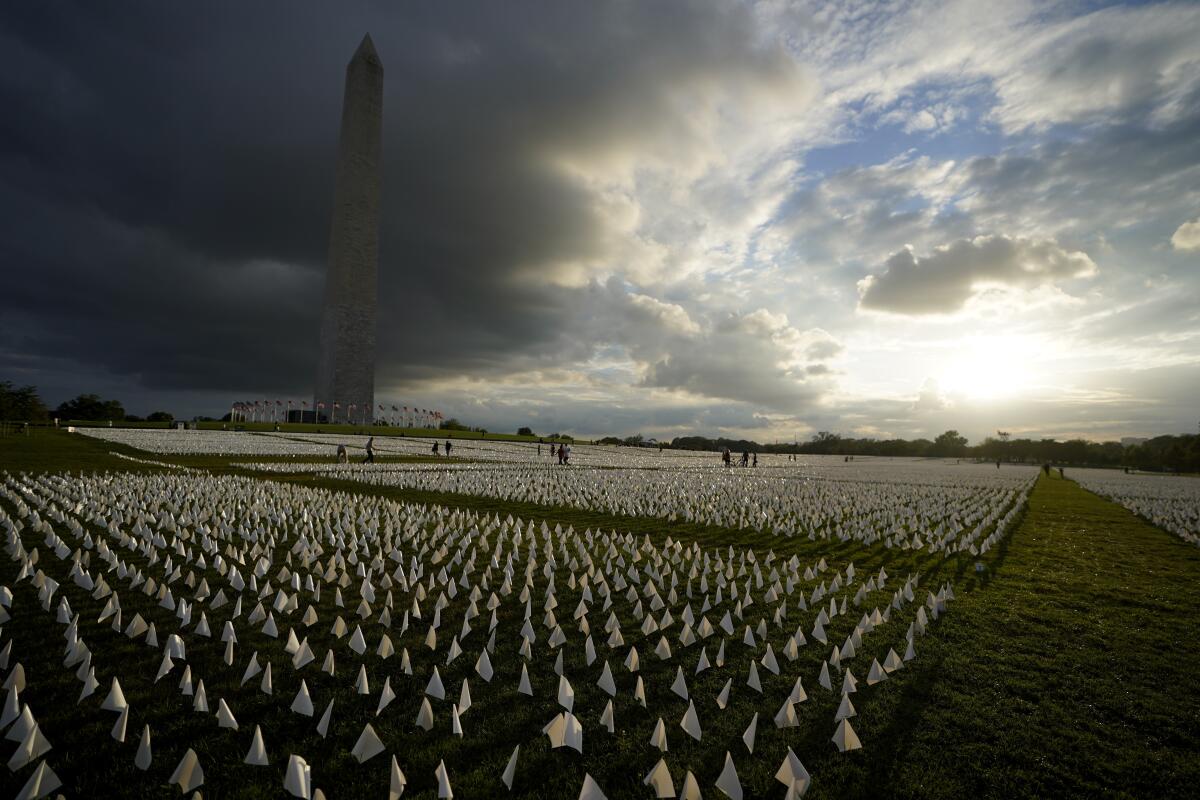 The Washington Monument can be seen behind a field of white flags.