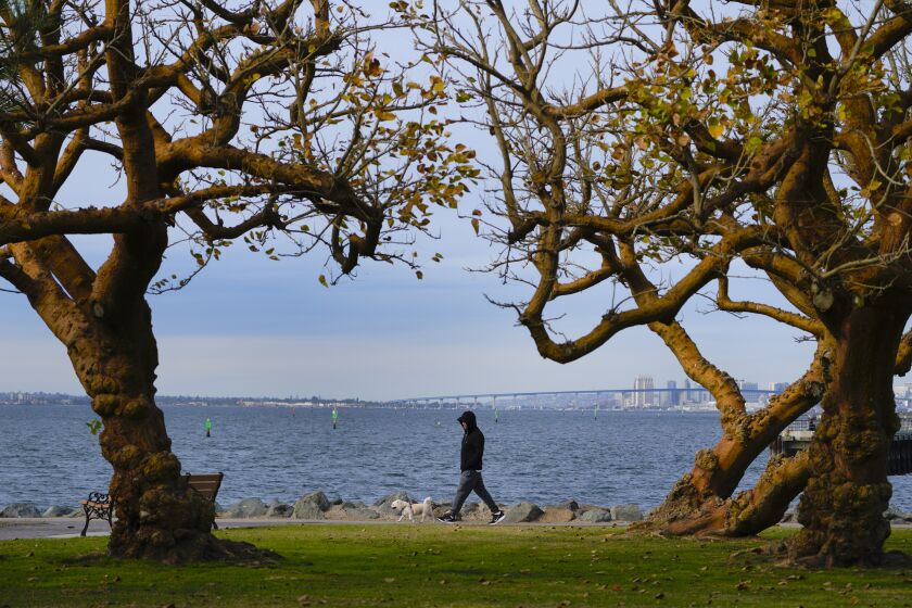Chula Vista, CA - December 02: Friday’s weather around Bayfront Park in Chula Vista on Friday, was cool and in the 60’s, with breeze coming off the bay. (Nelvin C. Cepeda / The San Diego Union-Tribune)