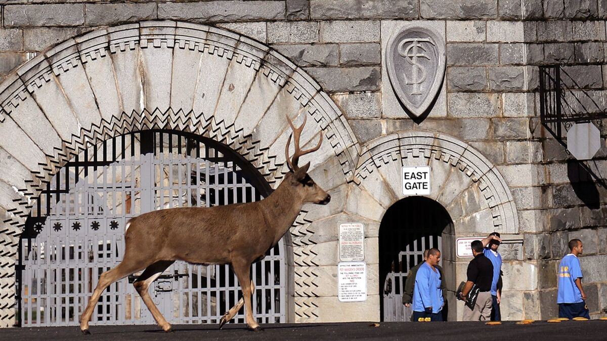 Inmates exit the East Gate as a buck wanders past the area where Johnny Cash once stood for an iconic portrait by Jim Marshall before his performance at Folsom State Prison almost 50 years ago.