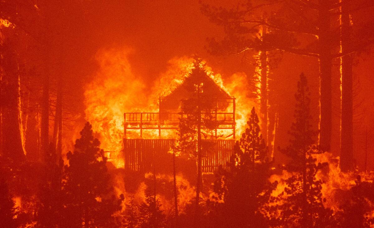 A home in the forest is engulfed in flames.