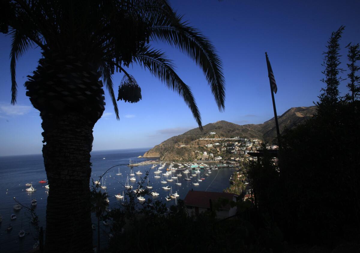 On Santa Catalina, a showing of a classic Beatles film, a music festival and fireworks round out the holiday weekend.